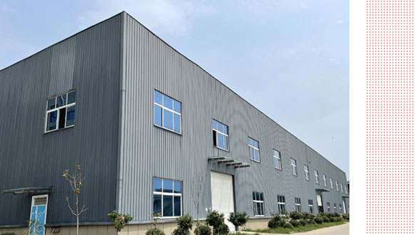 發展歷程
